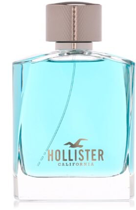 HOLLISTER Wave For Him EdT 100 ml
