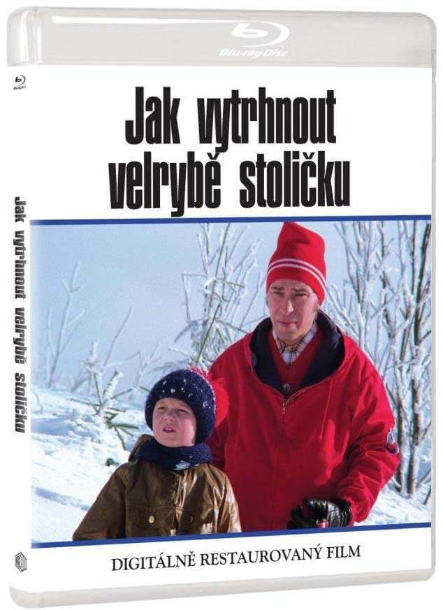 Jak vytrhnout velrybě stoličku