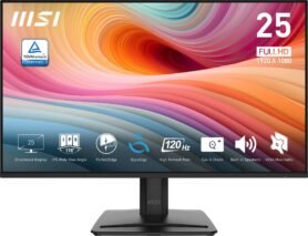24.5" MSI PRO MP251 E2