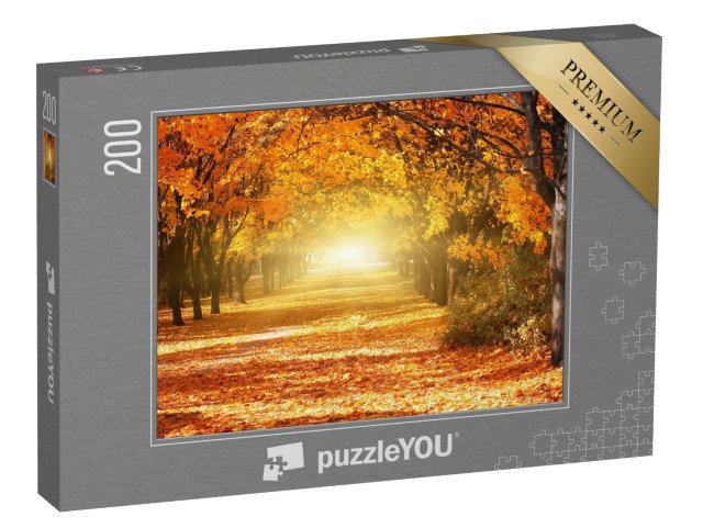 puzzle 200 dílků „Alej zlatých podzimních stromů“