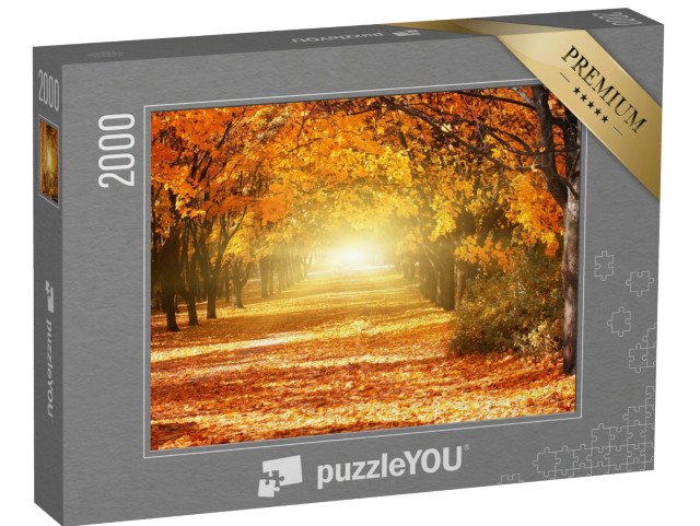 puzzle 2000 dílků „Alej zlatých podzimních stromů“