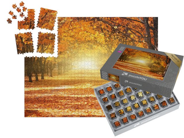 SMART SORTED® | Puzzle 1000 dílků „Alej zlatých podzimních stromů“