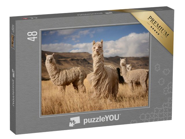 puzzle 48 dílků „Alpaky v peruánských Andách“