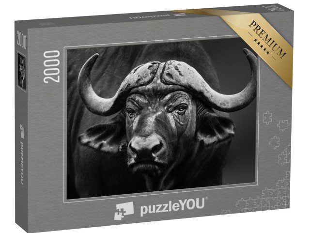 puzzle 2000 dílků „Černobílý záběr bizoního býka zblízka“