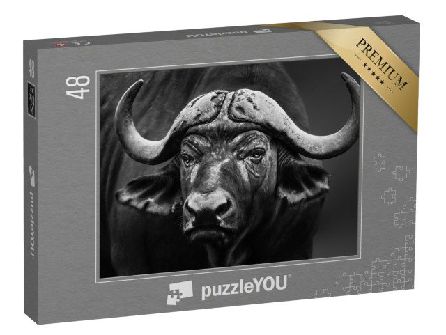 puzzle 48 dílků „Černobílý záběr bizoního býka zblízka“