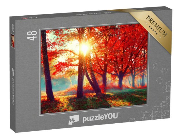 puzzle 48 dílků „Červené listí ve zlatém světle podzimního slunce“
