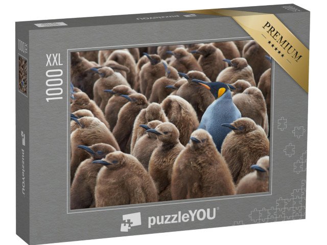 puzzle 1000 dílků XXL „Dospělý tučňák královský ve skupině mláďat“