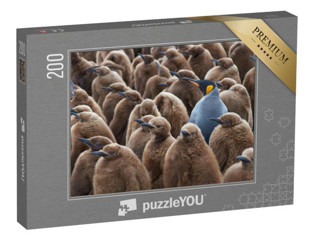 puzzle 200 dílků „Dospělý tučňák královský ve skupině mláďat“