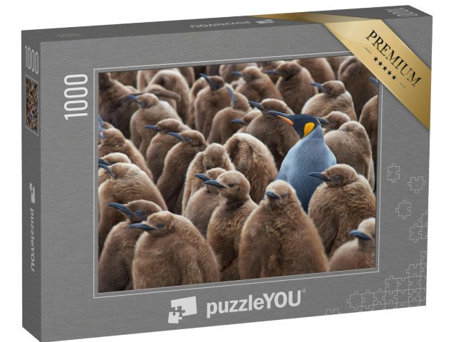 puzzle 1000 dílků „Dospělý tučňák královský ve skupině mláďat“