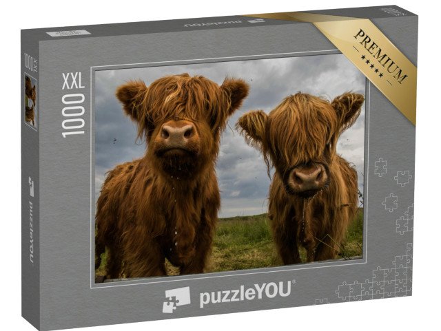 puzzle 1000 dílků XXL „Dva kusy horského skotu“