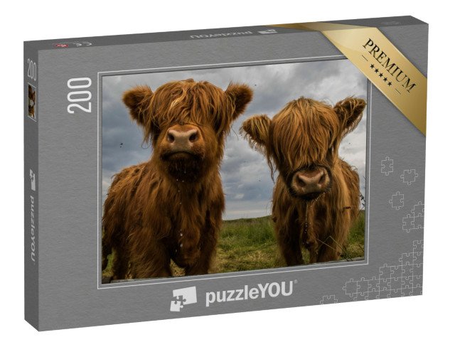puzzle 200 dílků „Dva kusy horského skotu“