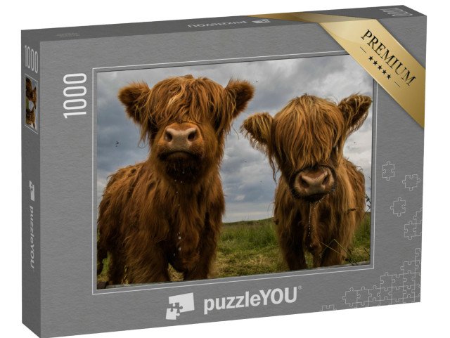 puzzle 1000 dílků „Dva kusy horského skotu“