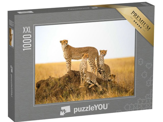 puzzle 1000 dílků XXL „Gepardi v národním parku Serengeti, Tanzanie“