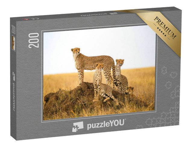 puzzle 200 dílků „Gepardi v národním parku Serengeti, Tanzanie“