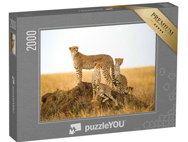puzzle 2000 dílků „Gepardi v národním parku Serengeti, Tanzanie“