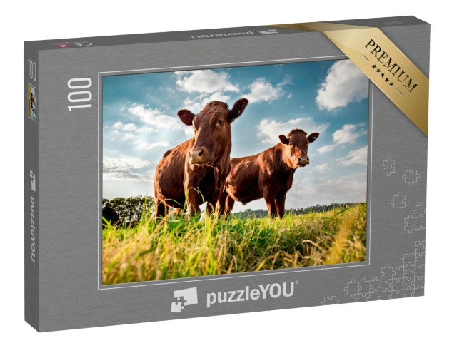 puzzle 100 dílků „Hovězí dobytek na zelené louce“
