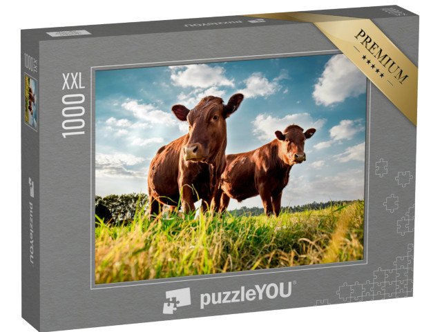 puzzle 1000 dílků XXL „Hovězí dobytek na zelené louce“