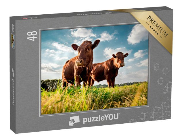 puzzle 48 dílků „Hovězí dobytek na zelené louce“