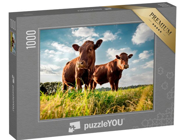 puzzle 1000 dílků „Hovězí dobytek na zelené louce“