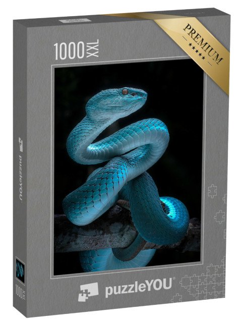 puzzle 1000 dílků XXL „Jedovatý zmijovitý had“