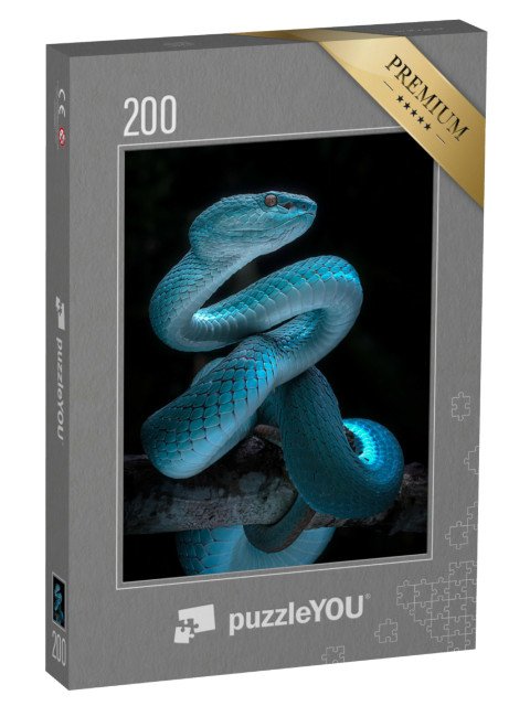 puzzle 200 dílků „Jedovatý zmijovitý had“