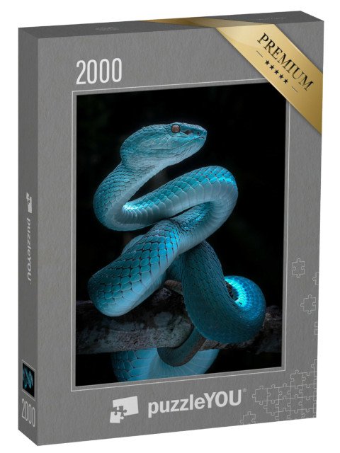 puzzle 2000 dílků „Jedovatý zmijovitý had“