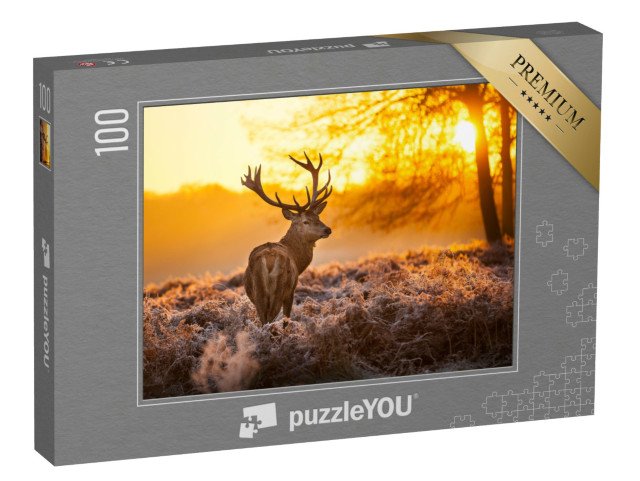 puzzle 100 dílků „Jelen v ranním slunci“