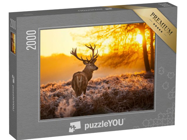 puzzle 2000 dílků „Jelen v ranním slunci“