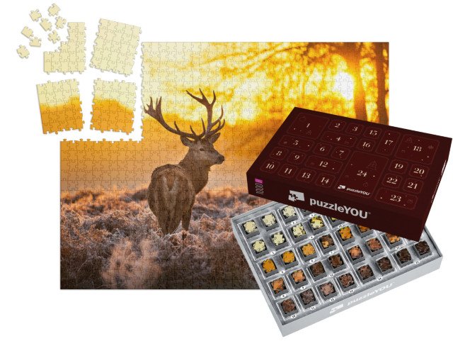 Adventní kalendář „Jelen v ranním slunci“