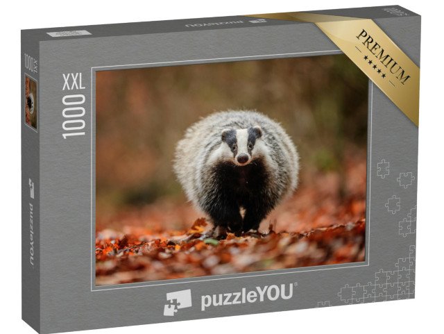 puzzle 1000 dílků XXL „Jezevec v lese“