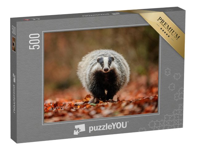 puzzle 500 dílků „Jezevec v lese“