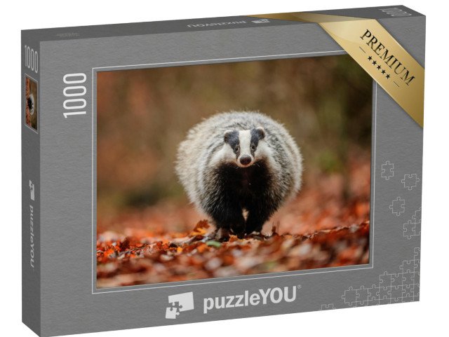 puzzle 1000 dílků „Jezevec v lese“