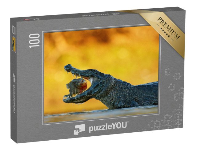 puzzle 100 dílků „Kajman na lovu“