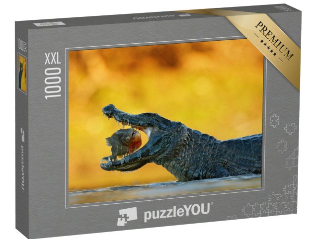 puzzle 1000 dílků XXL „Kajman na lovu“