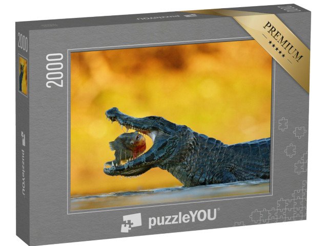 puzzle 2000 dílků „Kajman na lovu“