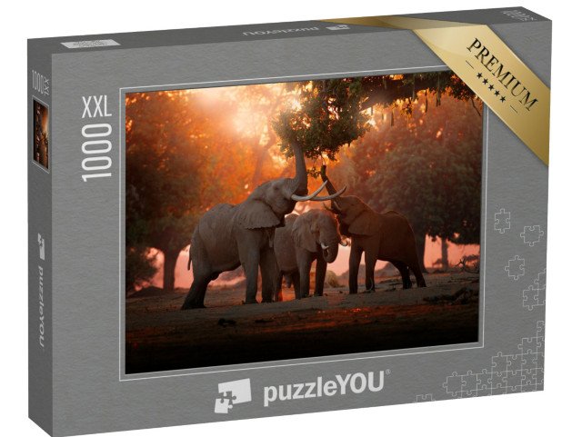 puzzle 1000 dílků XXL „Krmení slonů v národním parku Mana Pools, Zimbabwe“