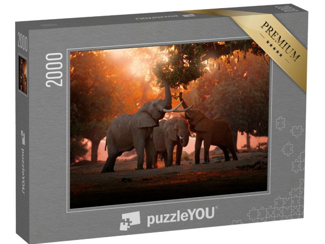 puzzle 2000 dílků „Krmení slonů v národním parku Mana Pools, Zimbabwe“
