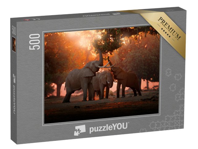 puzzle 500 dílků „Krmení slonů v národním parku Mana Pools, Zimbabwe“