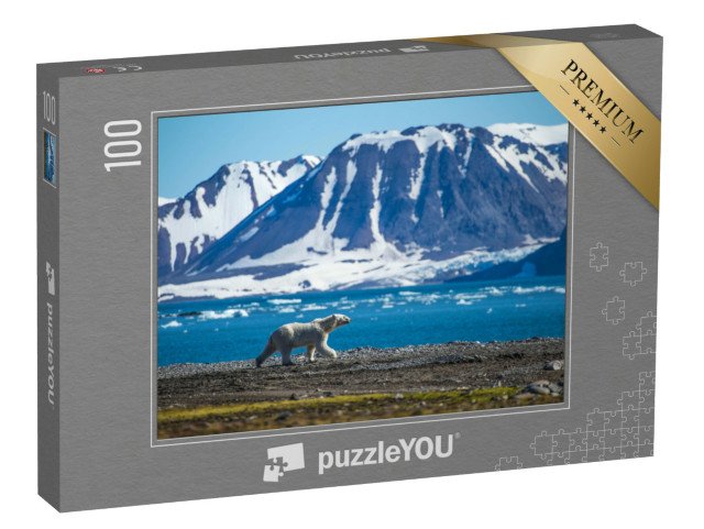 puzzle 100 dílků „Lední medvěd na jižních Špicberkách“