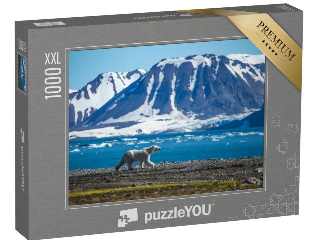puzzle 1000 dílků XXL „Lední medvěd na jižních Špicberkách“