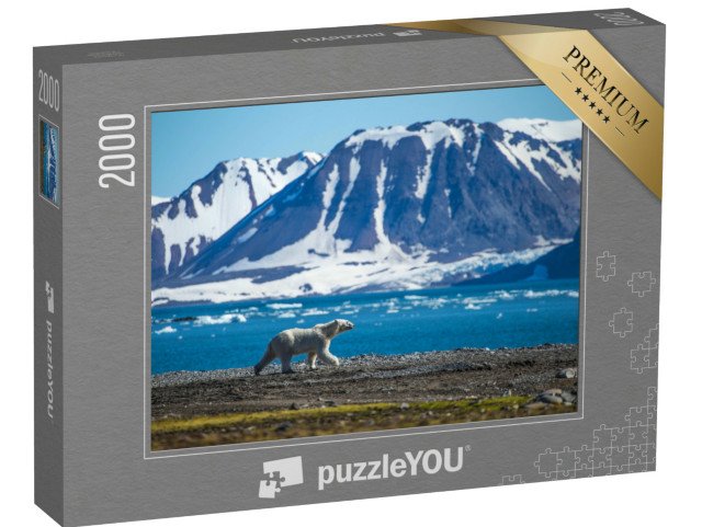puzzle 2000 dílků „Lední medvěd na jižních Špicberkách“