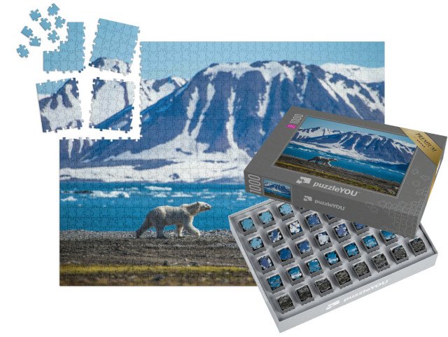 SMART SORTED® | Puzzle 1000 dílků „Lední medvěd na jižních Špicberkách“