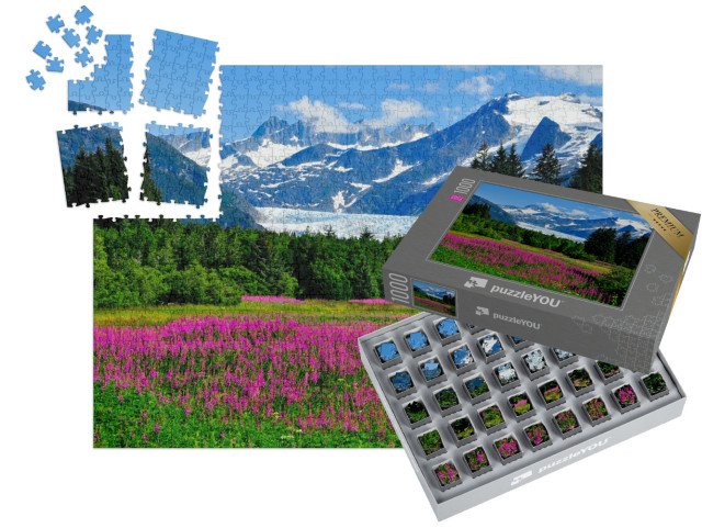 SMART SORTED® | Puzzle 1000 dílků „Ledovec Mendenhall Glacier s kvetoucími ohnivci, Aljaška“