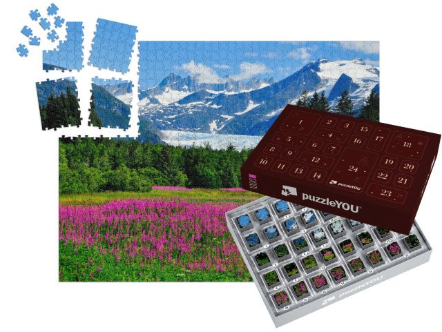 Adventní kalendář „Ledovec Mendenhall Glacier s kvetoucími ohnivci, Aljaška“
