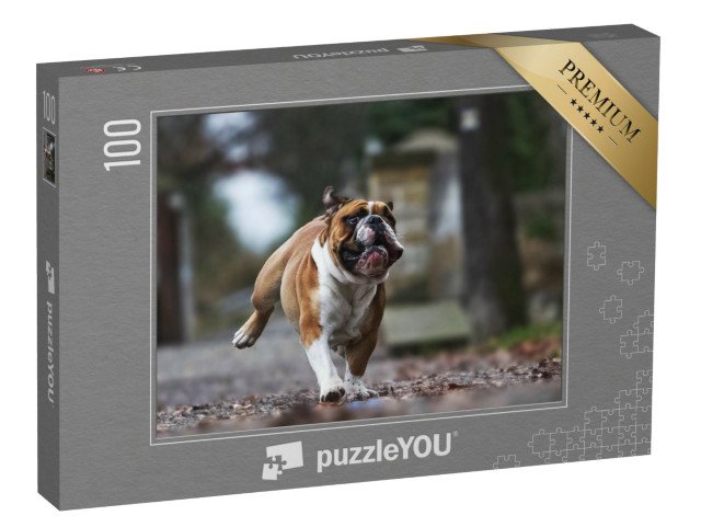 puzzle 100 dílků „Legrační buldok v plném běhu“