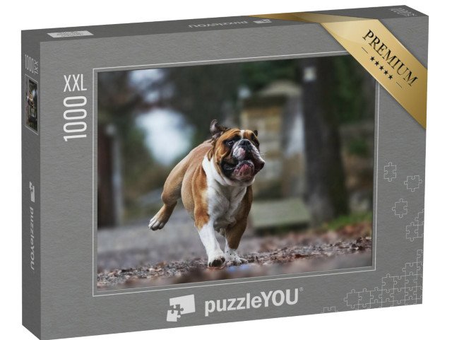 puzzle 1000 dílků XXL „Legrační buldok v plném běhu“