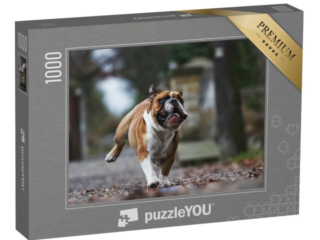 puzzle 1000 dílků „Legrační buldok v plném běhu“