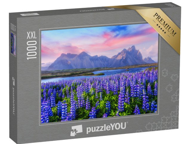 puzzle 1000 dílků XXL „Lupinové louky u pohoří Stokksnes, Island“