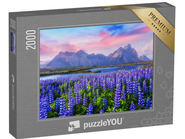 puzzle 2000 dílků „Lupinové louky u pohoří Stokksnes, Island“