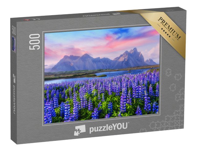 puzzle 500 dílků „Lupinové louky u pohoří Stokksnes, Island“